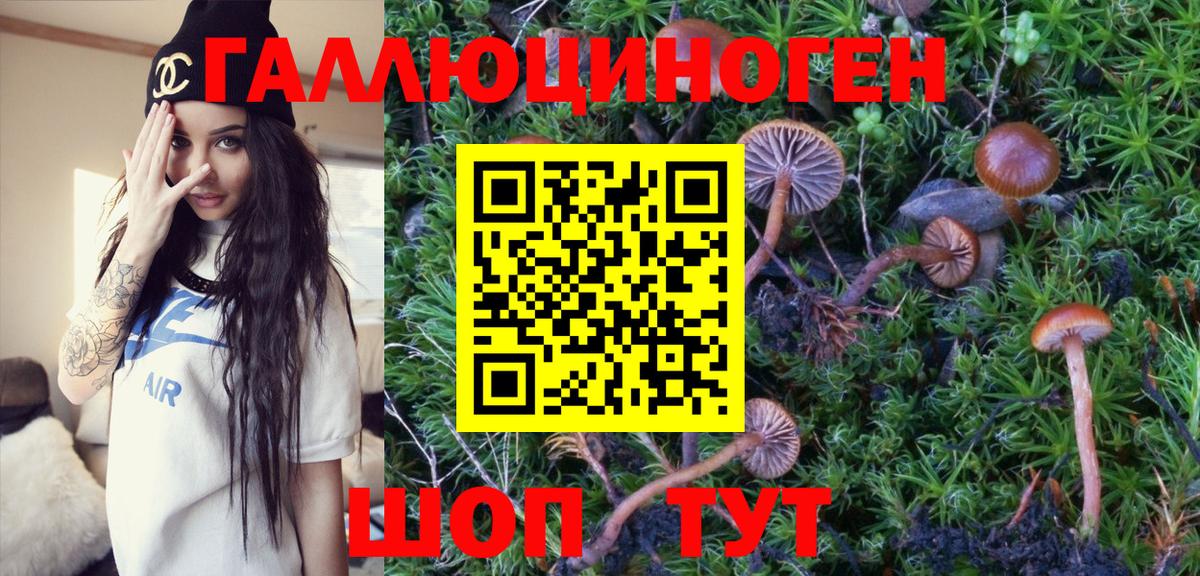 Псилоцибиновые грибы MAGIC MUSHROOMS  Вход с VPN  Шебекино 