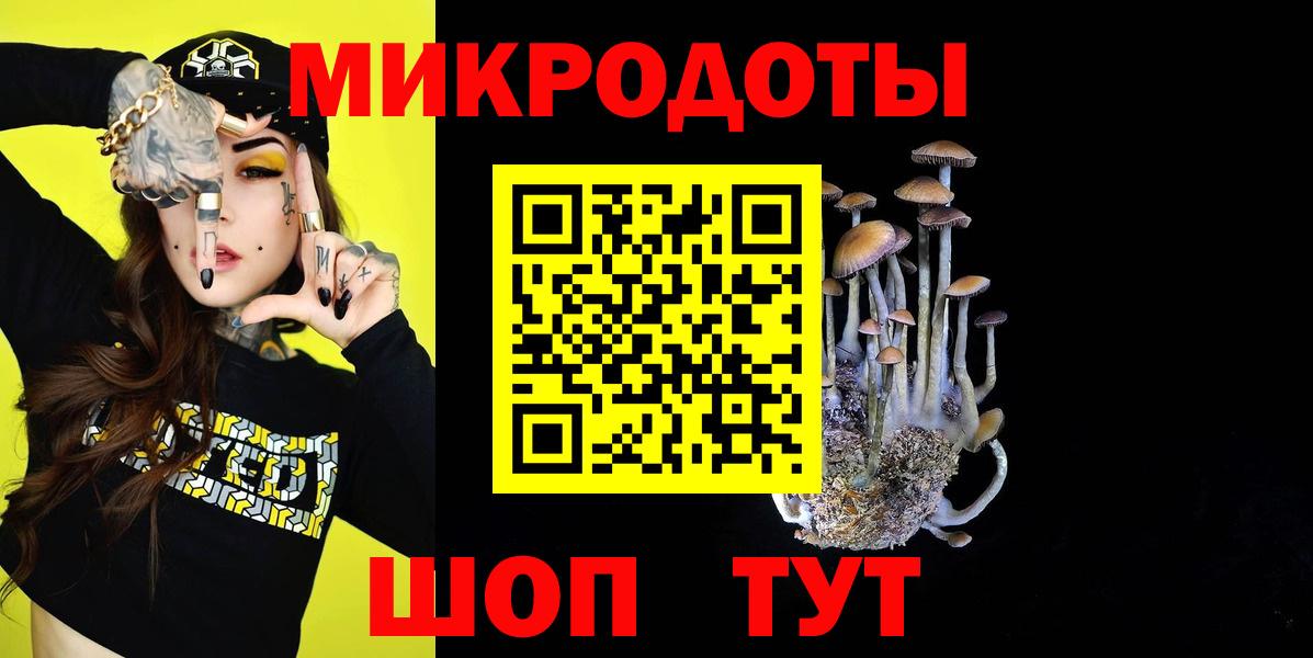 Псилоцибиновые грибы Psilocybe Шебекино